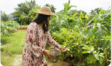 Neque porro quisquam est.